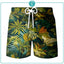 Shorts Hawaii