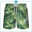 Shorts Hawaii