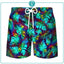 Shorts Hawaii