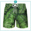 Shorts Hawaii